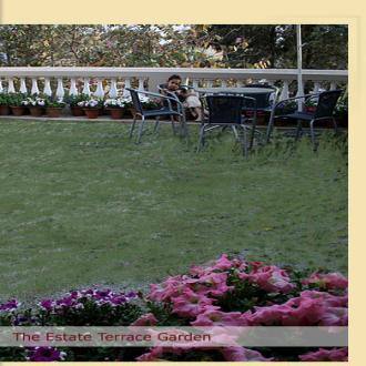 TG Stays Sultanpur Estate, New Delhi 2